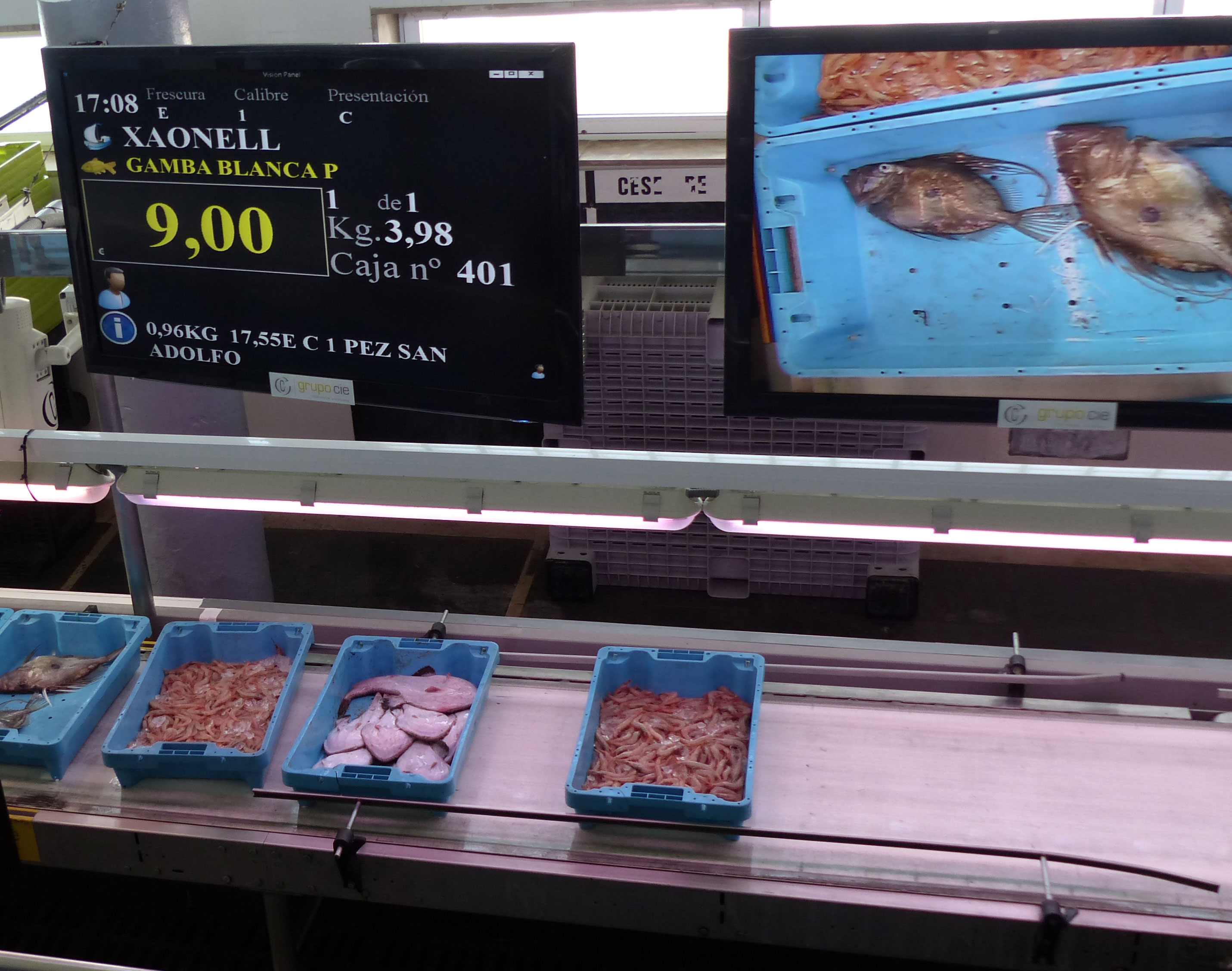 Venta pescado en la lonja